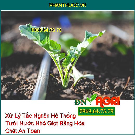 Xử Lý Tắc Nghẽn Hệ Thống Tưới Nước Nhỏ Giọt Bằng Hóa Chất An Toàn