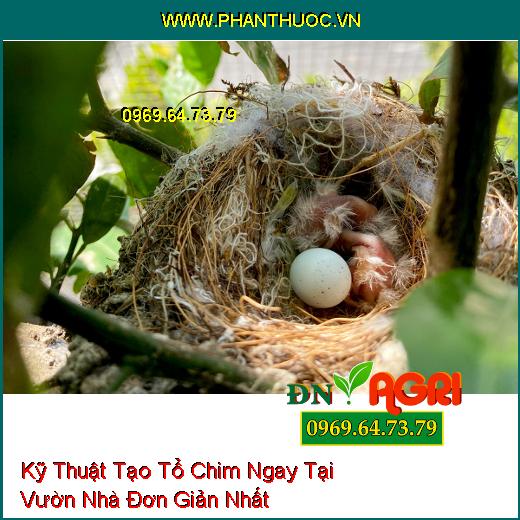 Kỹ Thuật Tạo Tổ Chim Ngay Tại Vườn Nhà Đơn Giản Nhất