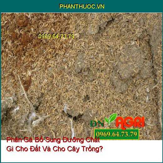 Phân Gà Bổ Sung Dưỡng Chất Gì Cho Đất Và Cho Cây Trồng?