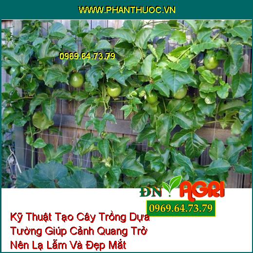 Kỹ Thuật Tạo Cây Trồng Dựa Tường Giúp Cảnh Quang Trở Nên Lạ Lẫm Và Đẹp Mắt