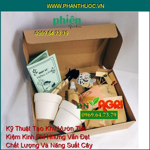 Kỹ Thuật Tạo Khu Vườn Tiết Kiệm Kinh Phí Nhưng Vẫn Đạt Chất Lượng Và Năng Suất Cây Trồng