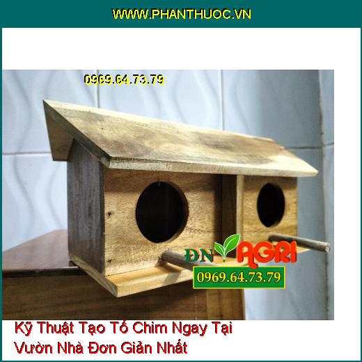 Kỹ Thuật Tạo Tổ Chim Ngay Tại Vườn Nhà Đơn Giản Nhất