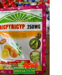 AICPYRICYP 250WG- Đặc Trị Bọ Trĩ- Sâu Vẽ Bùa- Rầy Nâu- Rệp Sáp- Ruồi Vàng