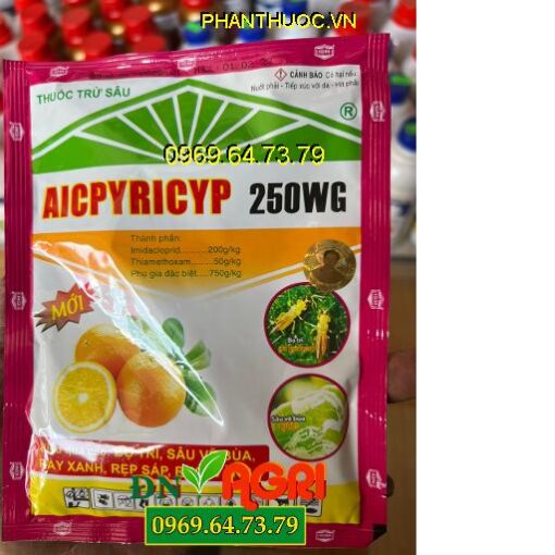 AICPYRICYP 250WG- Đặc Trị Bọ Trĩ- Sâu Vẽ Bùa- Rầy Nâu- Rệp Sáp- Ruồi Vàng