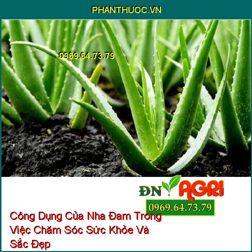 Công Dụng Của Nha Đam Trong Việc Chăm Sóc Sức Khỏe Và Sắc Đẹp