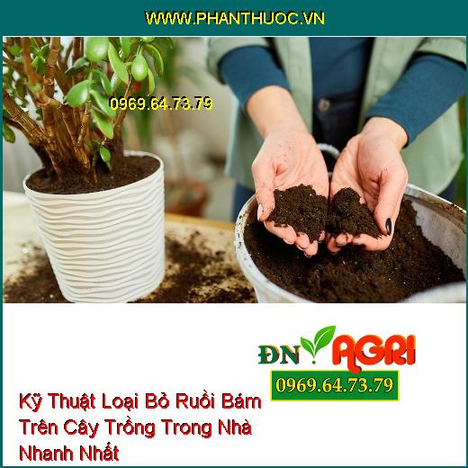 Kỹ Thuật Loại Bỏ Ruồi Bám Trên Cây Trồng Trong Nhà Nhanh Nhất