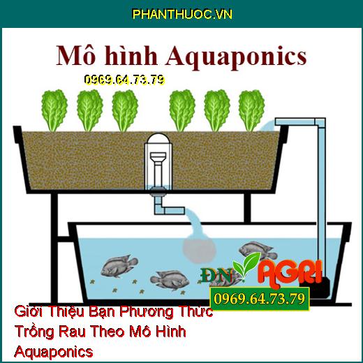 Giới Thiệu Bạn Phương Thức Trồng Rau Theo Mô Hình Aquaponics