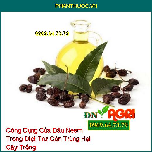 Công Dụng Của Dầu Neem Trong Diệt Trừ Côn Trùng Hại Cây Trồng