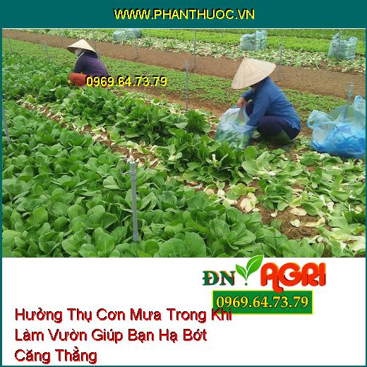 Hưởng Thụ Cơn Mưa Trong Khi Làm Vườn Giúp Bạn Hạ Bớt Căng Thẳng