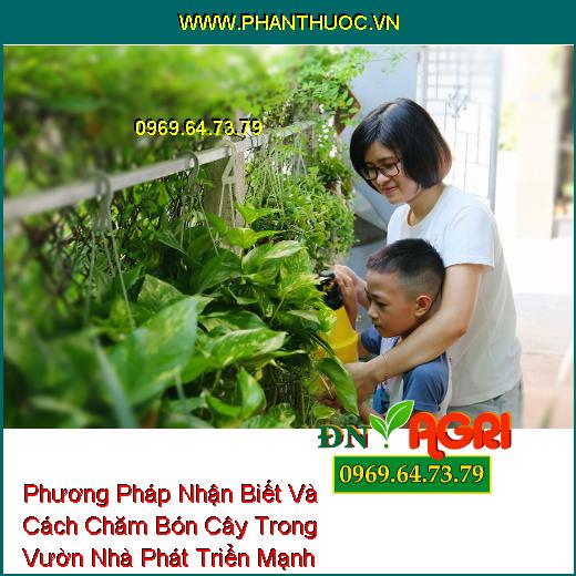 Phương Pháp Nhận Biết Và Cách Chăm Bón Cây Trong Vườn Nhà Phát Triển Mạnh