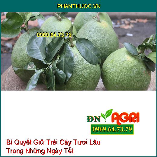 Bí Quyết Giữ Trái Cây Tươi Lâu Trong Những Ngày Tết