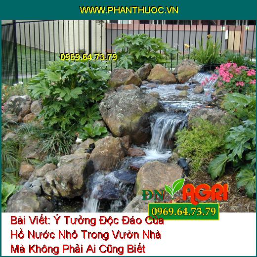 Ý Tưởng Độc Đáo Của Hồ Nước Nhỏ Trong Vườn Nhà Mà Không Phải Ai Cũng Biết