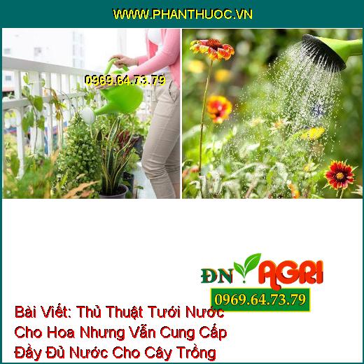 Thủ Thuật Tưới Nước Cho Hoa Nhưng Vẫn Cung Cấp Đầy Đủ Nước Cho Cây Trồng