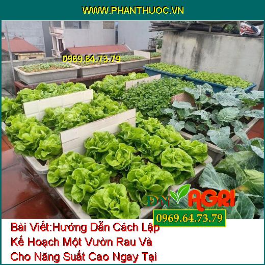 Hướng Dẫn Cách Lập Kế Hoạch Một Vườn Rau Và Cho Năng Suất Cao Ngay Tại Nhà