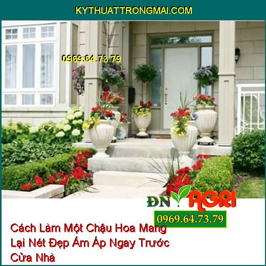 Cách Làm Một Chậu Hoa Mang Lại Nét Đẹp Ấm Áp Ngay Trước Cửa Nhà