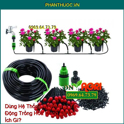 Dùng Hệ Thống Tưới Nước Tự Động Trồng Hoa Mang Lại Lợi Ích Gì?