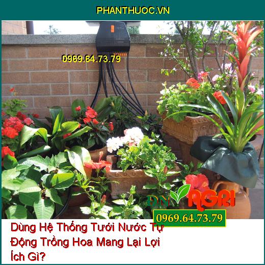 Dùng Hệ Thống Tưới Nước Tự Động Trồng Hoa Mang Lại Lợi Ích Gì?