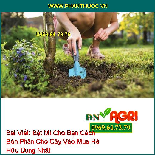 Bật Mí Cho Bạn Cách Bón Phân Cho Cây Vào Mùa Hè Hữu Dụng Nhất