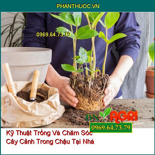 Kỹ Thuật Trồng Và Chăm Sóc Cây Cảnh Trong Chậu Tại Nhà