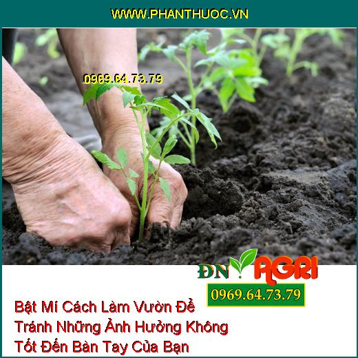 Bật Mí Cách Làm Vườn Để Tránh Những Ảnh Hưởng Không Tốt Đến Bàn Tay Của Bạn