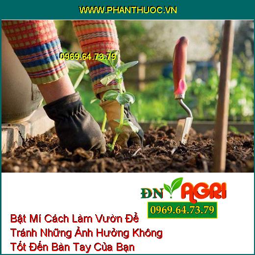 Bật Mí Cách Làm Vườn Để Tránh Những Ảnh Hưởng Không Tốt Đến Bàn Tay Của Bạn