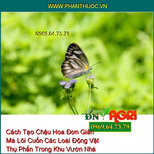 Cách Tạo Chậu Hoa Đơn Giản Mà Lôi Cuốn Các Loài Động Vật Thụ Phấn Trong Khu Vườn Nhà Bạn