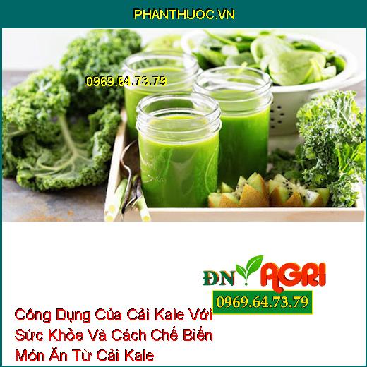 Công Dụng Của Cải Kale Với Sức Khỏe Và Cách Chế Biến Món Ăn Từ Cải Kale