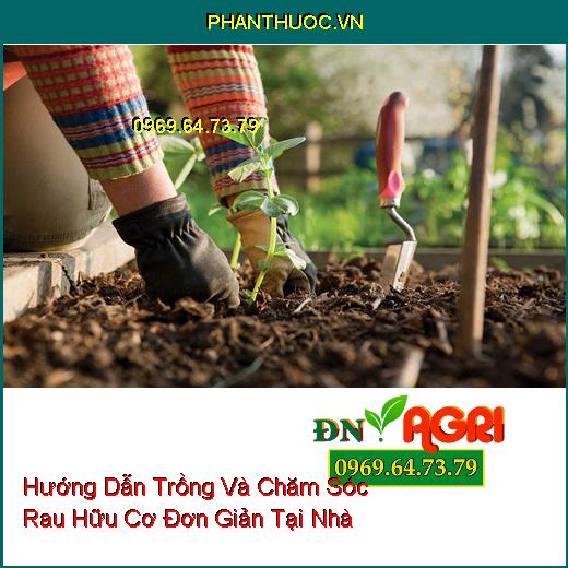 Hướng Dẫn Trồng Và Chăm Sóc Rau Hữu Cơ Đơn Giản Tại Nhà