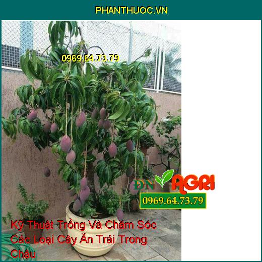 Kỹ Thuật Trồng Và Chăm Sóc Các Loại Cây Ăn Trái Trong Chậu 