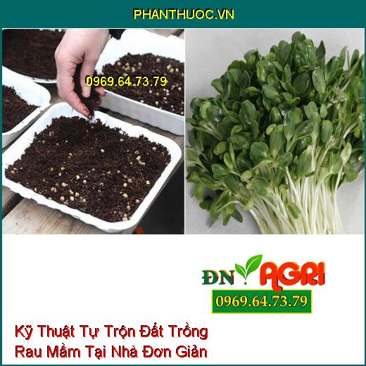 Kỹ Thuật Tự Trộn Đất Trồng Rau Mầm Tại Nhà Đơn Giản