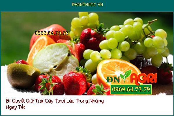 Bí Quyết Giữ Trái Cây Tươi Lâu Trong Những Ngày Tết