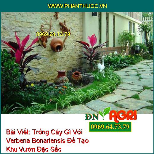 Trồng Cây Gì Với Verbena Bonariensis Để Tạo Khu Vườn Đặc Sắc