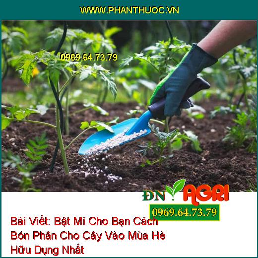 Bật Mí Cho Bạn Cách Bón Phân Cho Cây Vào Mùa Hè Hữu Dụng Nhất