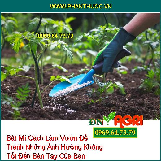 Bật Mí Cách Làm Vườn Để Tránh Những Ảnh Hưởng Không Tốt Đến Bàn Tay Của Bạn