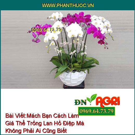 Mách Bạn Cách Làm Giá Thể Trồng Lan Hồ Điệp Mà Không Phải Ai Cũng Biết