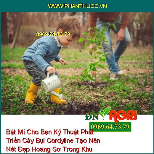 Bật Mí Cho Bạn Kỹ Thuật Phát Triển Cây Bụi Cordyline Tạo Nên Nét Đẹp Hoang Sơ Trong Khu Vườn