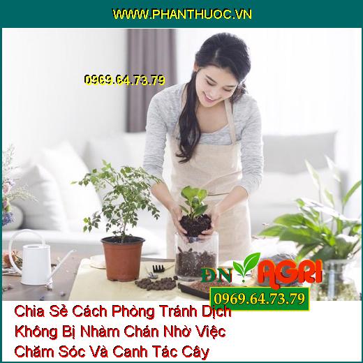 Chia Sẻ Cách Phòng Tránh Dịch Không Bị Nhàm Chán Nhờ Việc Chăm Sóc Và Canh Tác Cây Trong Nhà