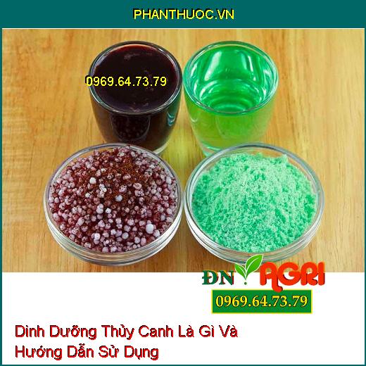 Dinh Dưỡng Thủy Canh Là Gì Và Hướng Dẫn Sử Dụng