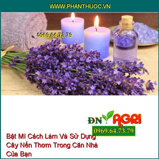 Bật Mí Cách Làm Và Sử Dụng Cây Nến Thơm Trong Căn Nhà Của Bạn