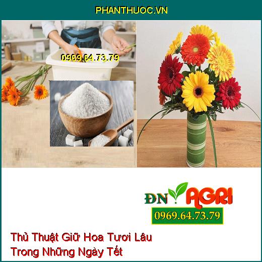 Thủ Thuật Giữ Hoa Tươi Lâu Trong Những Ngày Tết