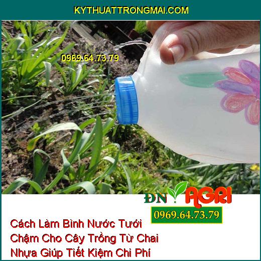 Cách Làm Bình Nước Tưới Chậm Cho Cây Trồng Từ Chai Nhựa Giúp Tiết Kiệm Chi Phí Cho Bạn