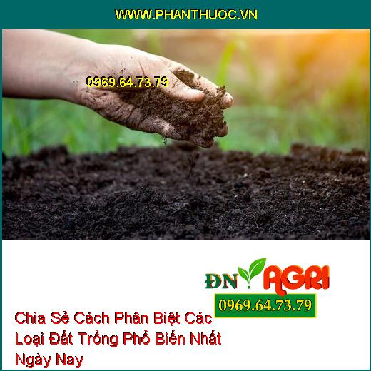 Chia Sẻ Cách Phân Biệt Các Loại Đất Trồng Phổ Biến Nhất Ngày Nay 