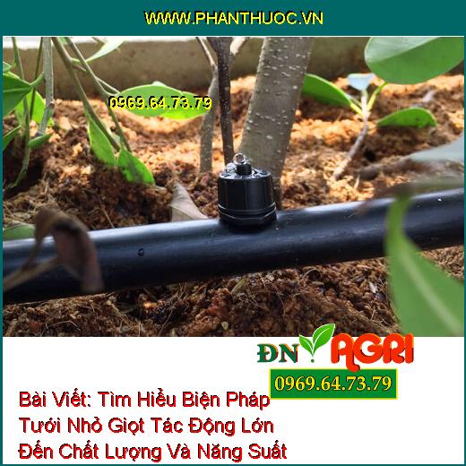 Tìm Hiểu Biện Pháp Tưới Nhỏ Giọt Tác Động Lớn Đến Chất Lượng Và Năng Suất Cây Trồng