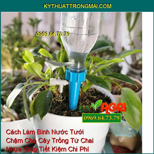 Cách Làm Bình Nước Tưới Chậm Cho Cây Trồng Từ Chai Nhựa Giúp Tiết Kiệm Chi Phí Cho Bạn