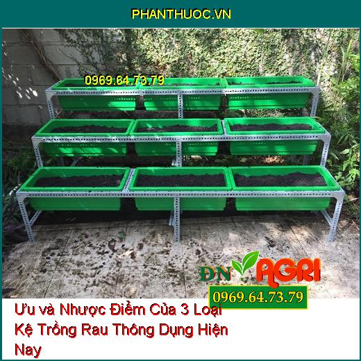 Ưu và Nhược Điểm Của 3 Loại Kệ Trồng Rau Thông Dụng Hiện Nay