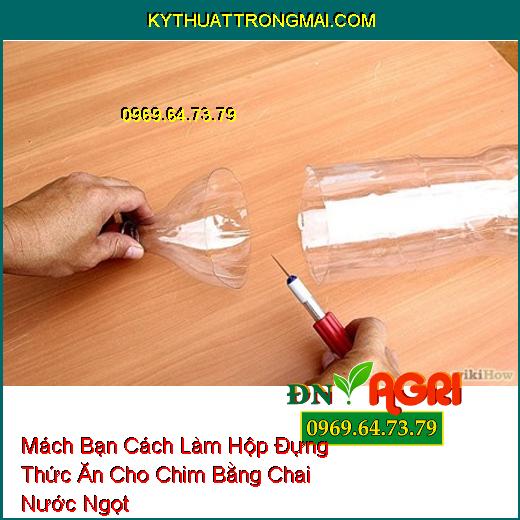 Mách Bạn Cách Làm Hộp Đựng Thức Ăn Cho Chim Bằng Chai Nước Ngọt 