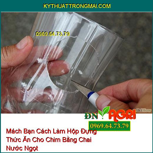 Mách Bạn Cách Làm Hộp Đựng Thức Ăn Cho Chim Bằng Chai Nước Ngọt 