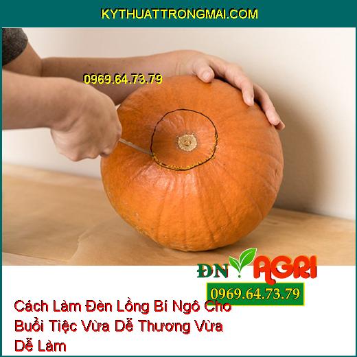 Cách Làm Đèn Lồng Bí Ngô Cho Buổi Tiệc Vừa Dễ Thương Vừa Dễ Làm