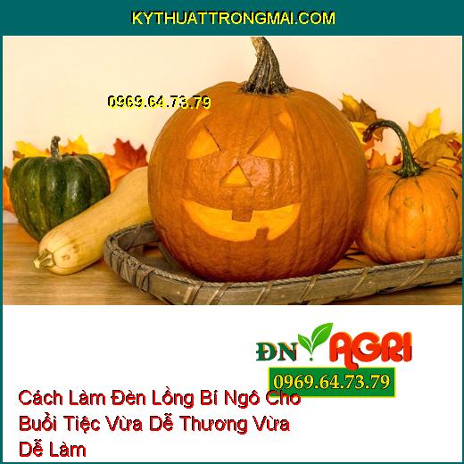 Cách Làm Đèn Lồng Bí Ngô Cho Buổi Tiệc Vừa Dễ Thương Vừa Dễ Làm