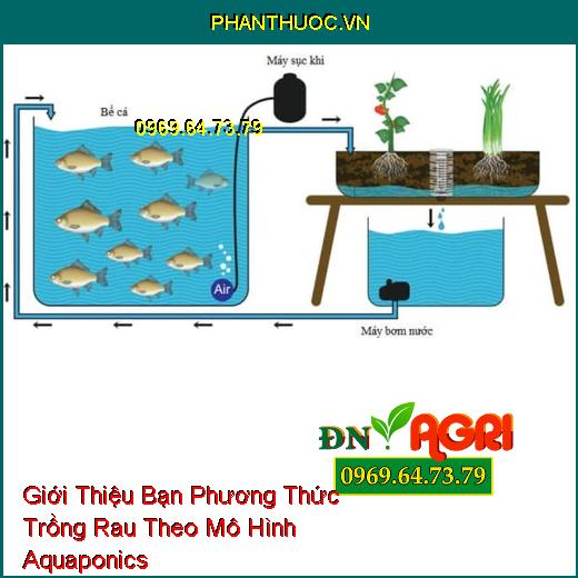 Giới Thiệu Bạn Phương Thức Trồng Rau Theo Mô Hình Aquaponics